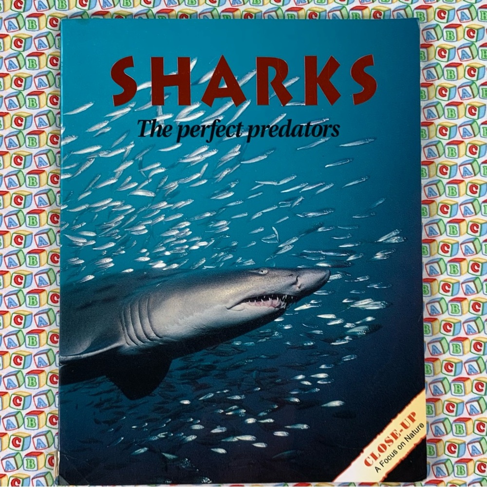 Sharks Learning Book Set for Kids. - Picture 12 of 16